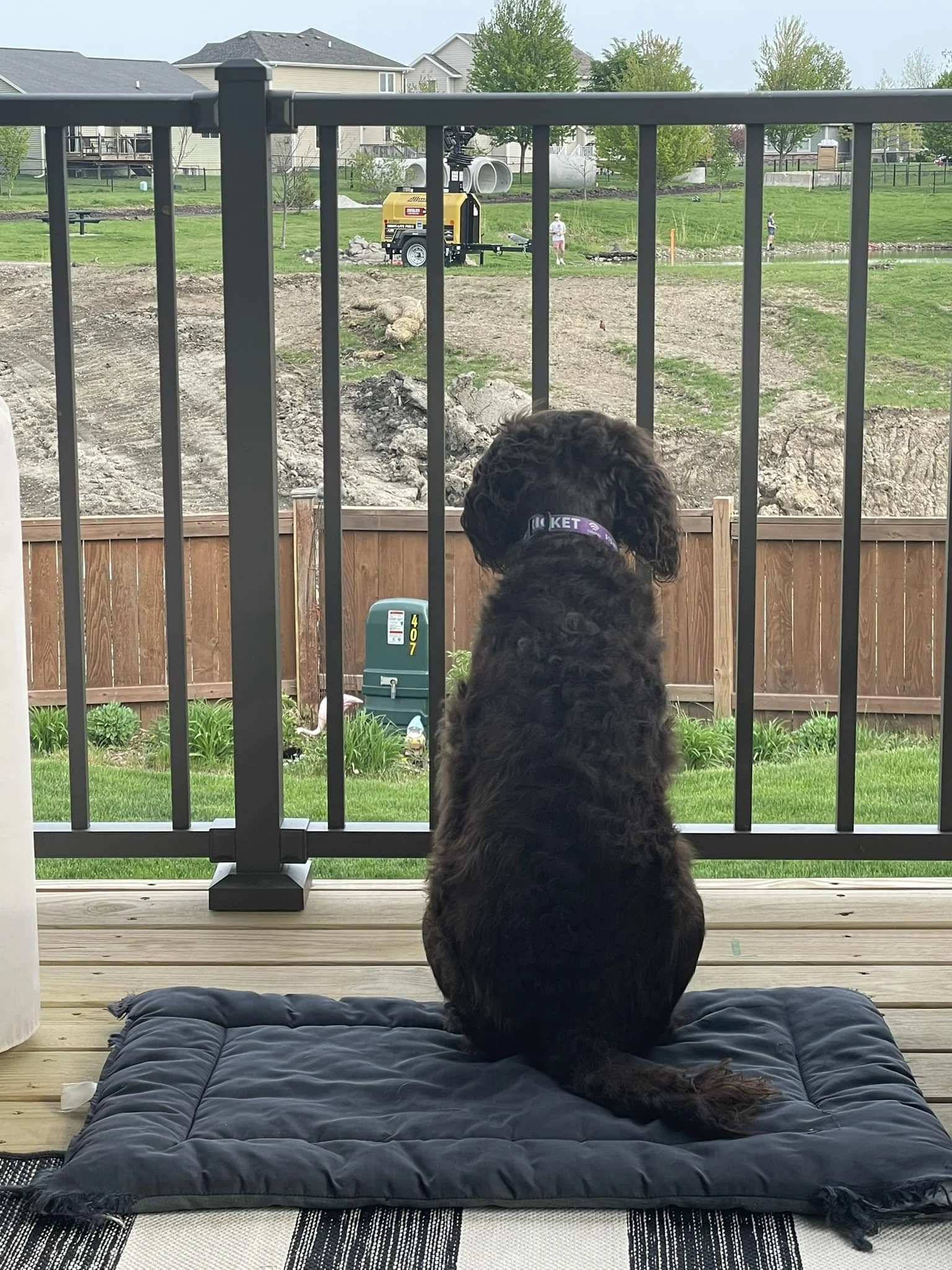 I can help dig - - 