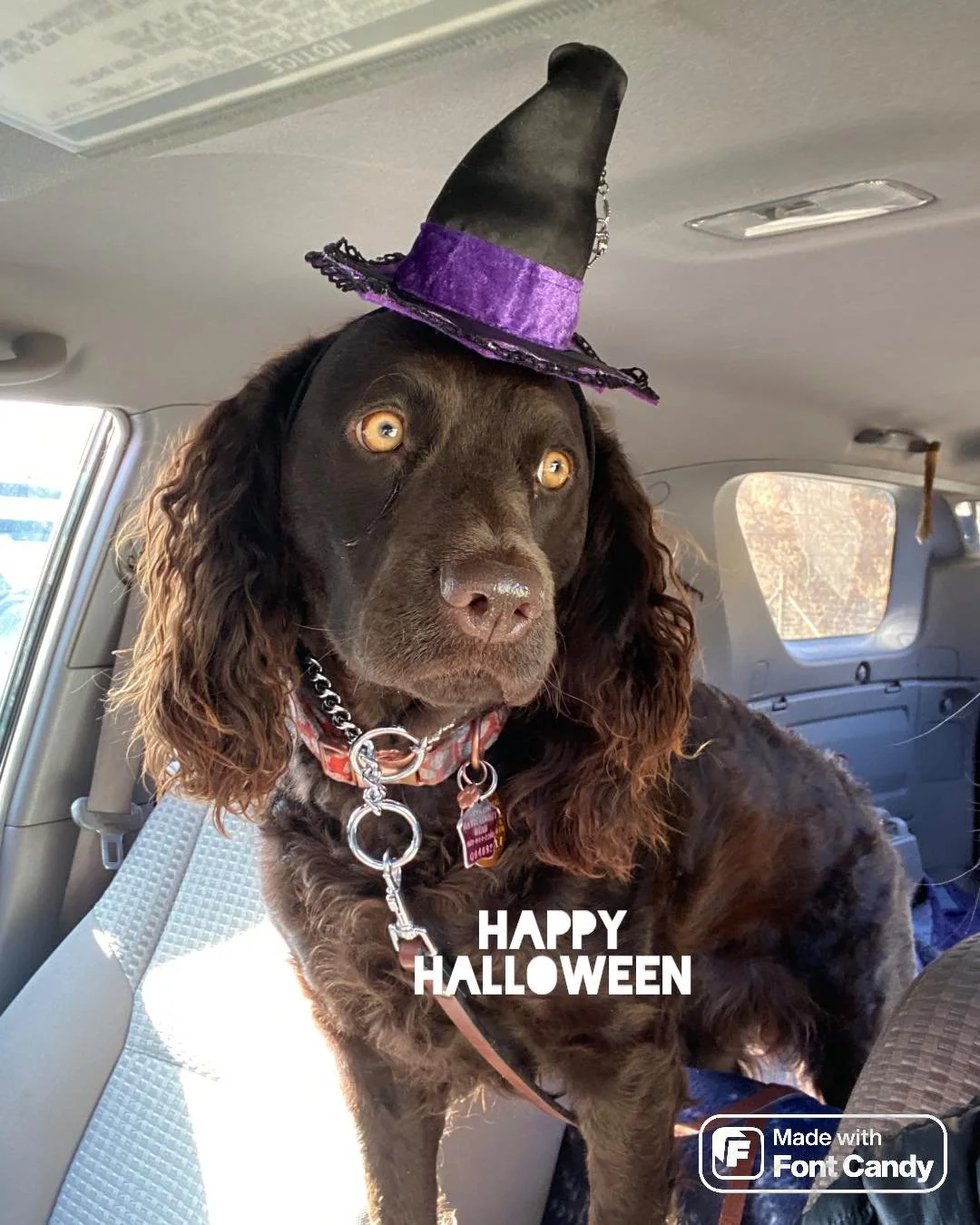 Happy Halloween