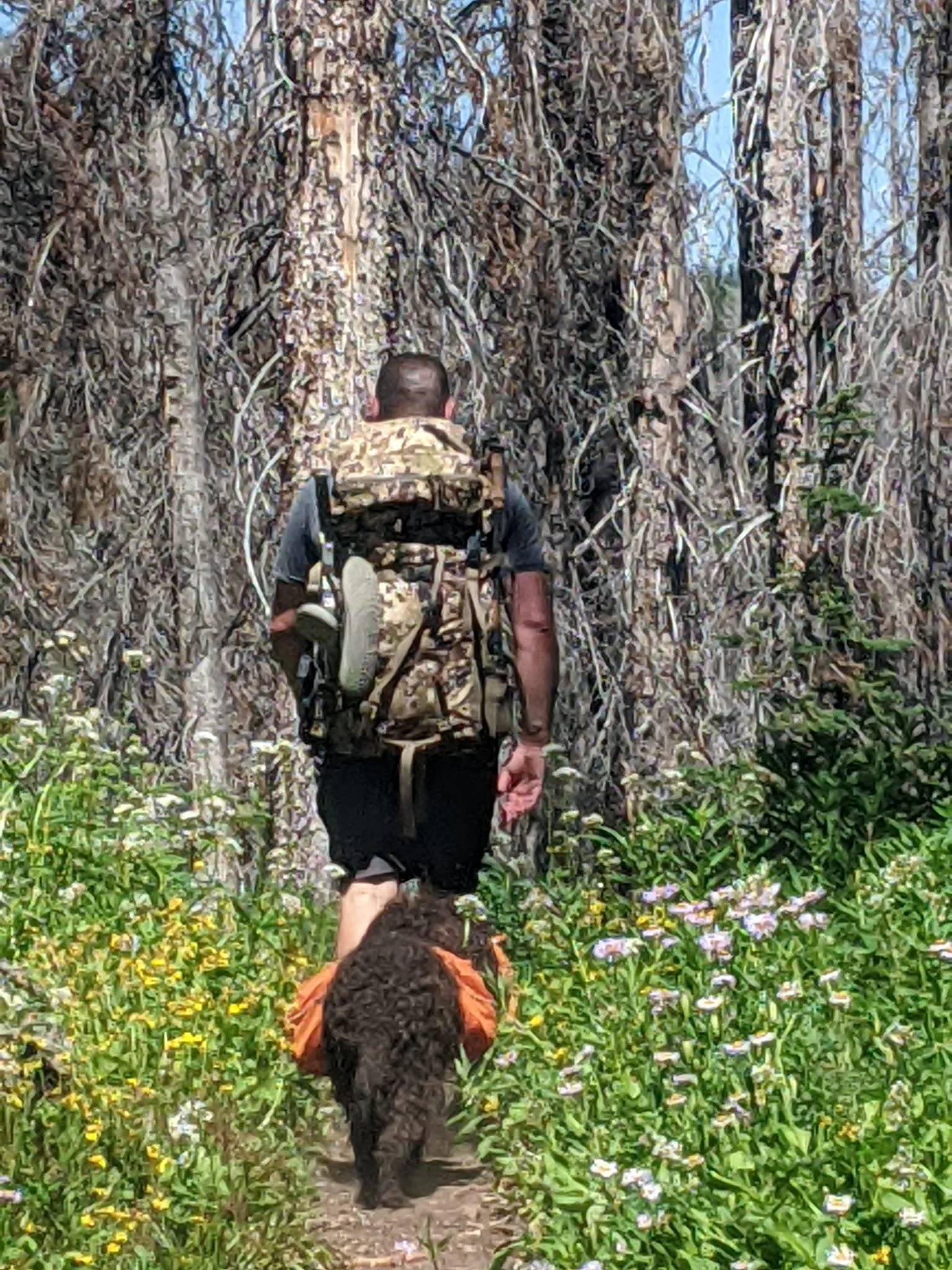 You carry yours, I'll carry mine