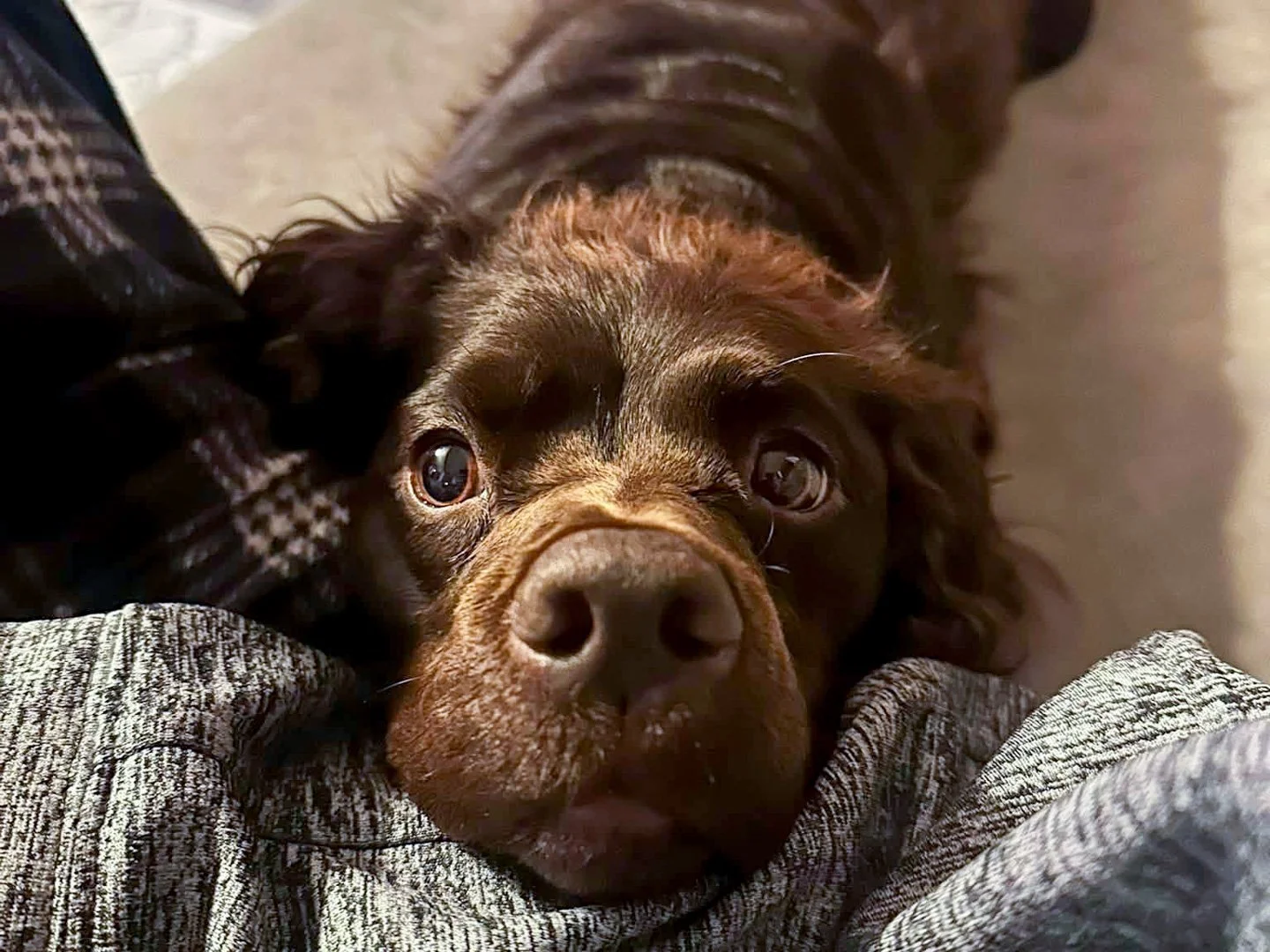 I'm innocent 