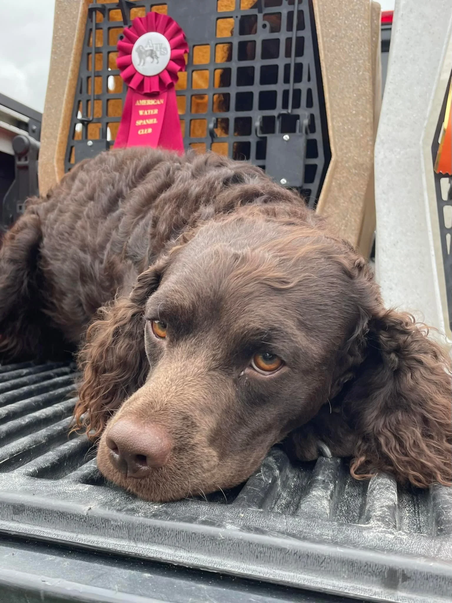That hunt was WAy too short 