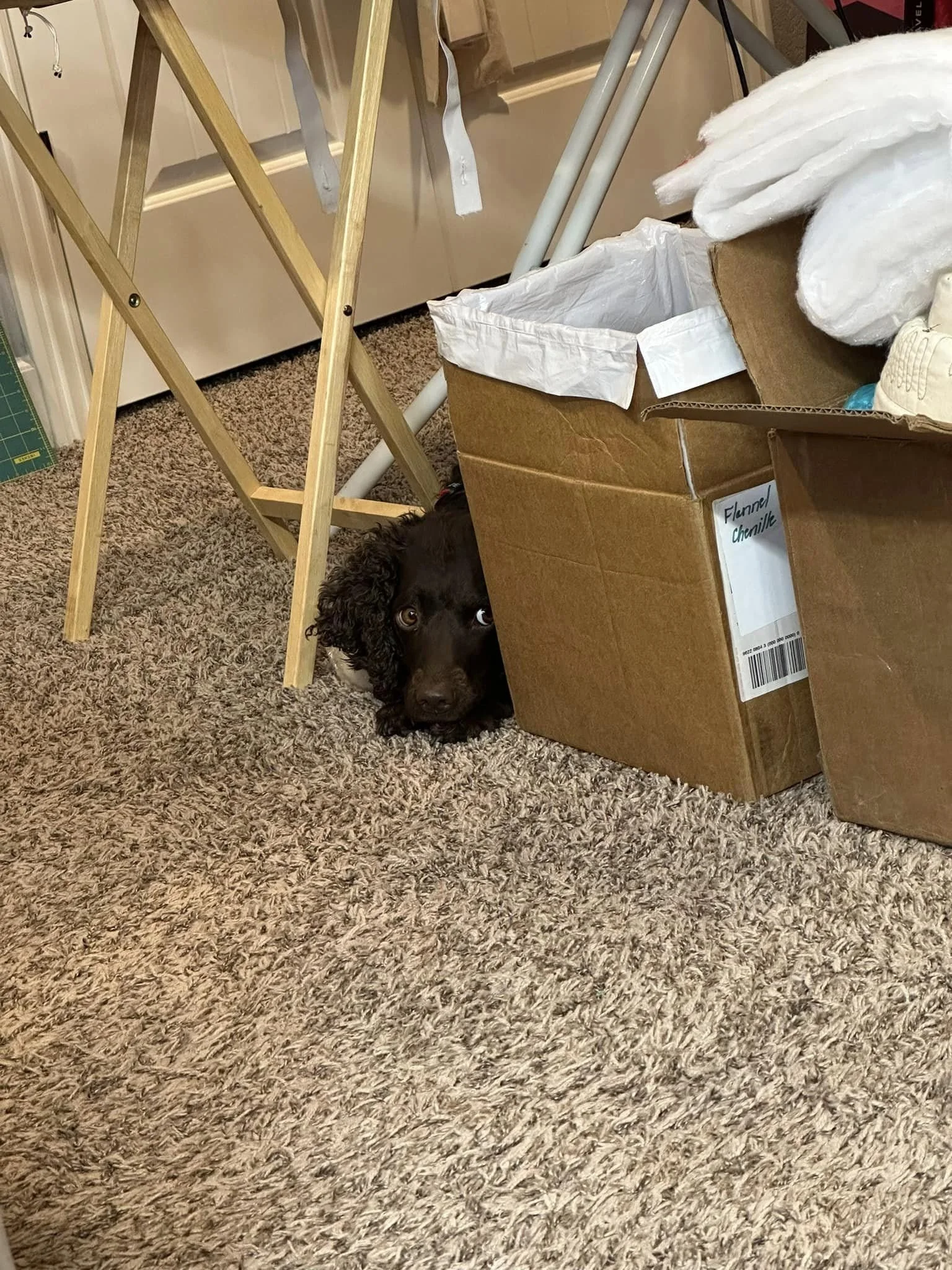 Peek - a - Boo I see you 