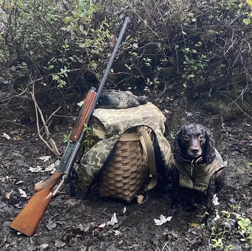 First Bird of the Season 