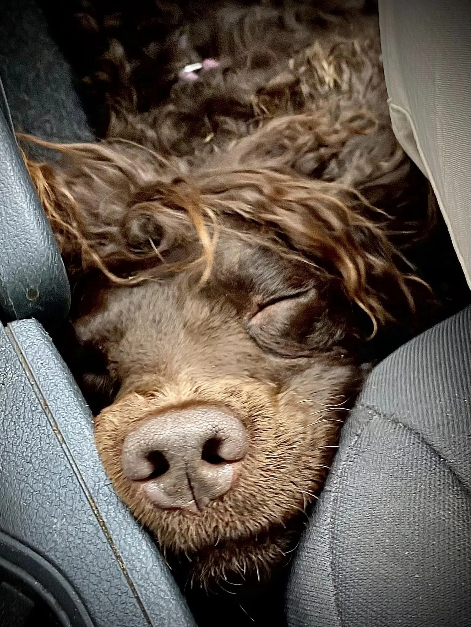 Sooo Cozy 