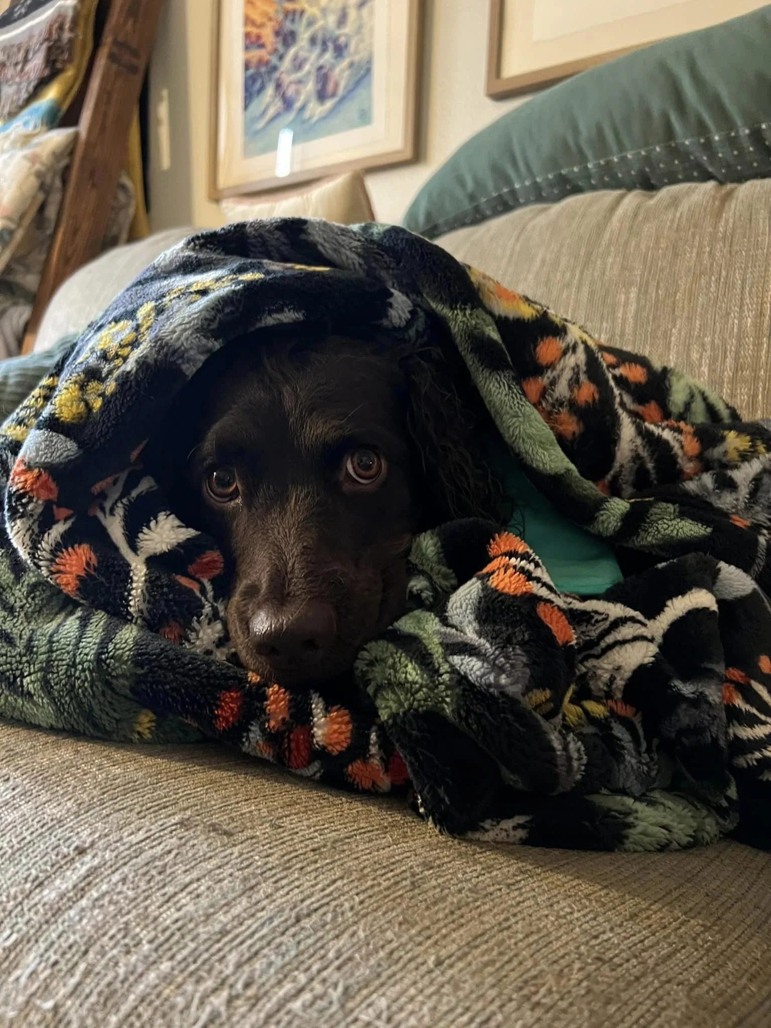 Can you just bring it to me, I"m way to comfy