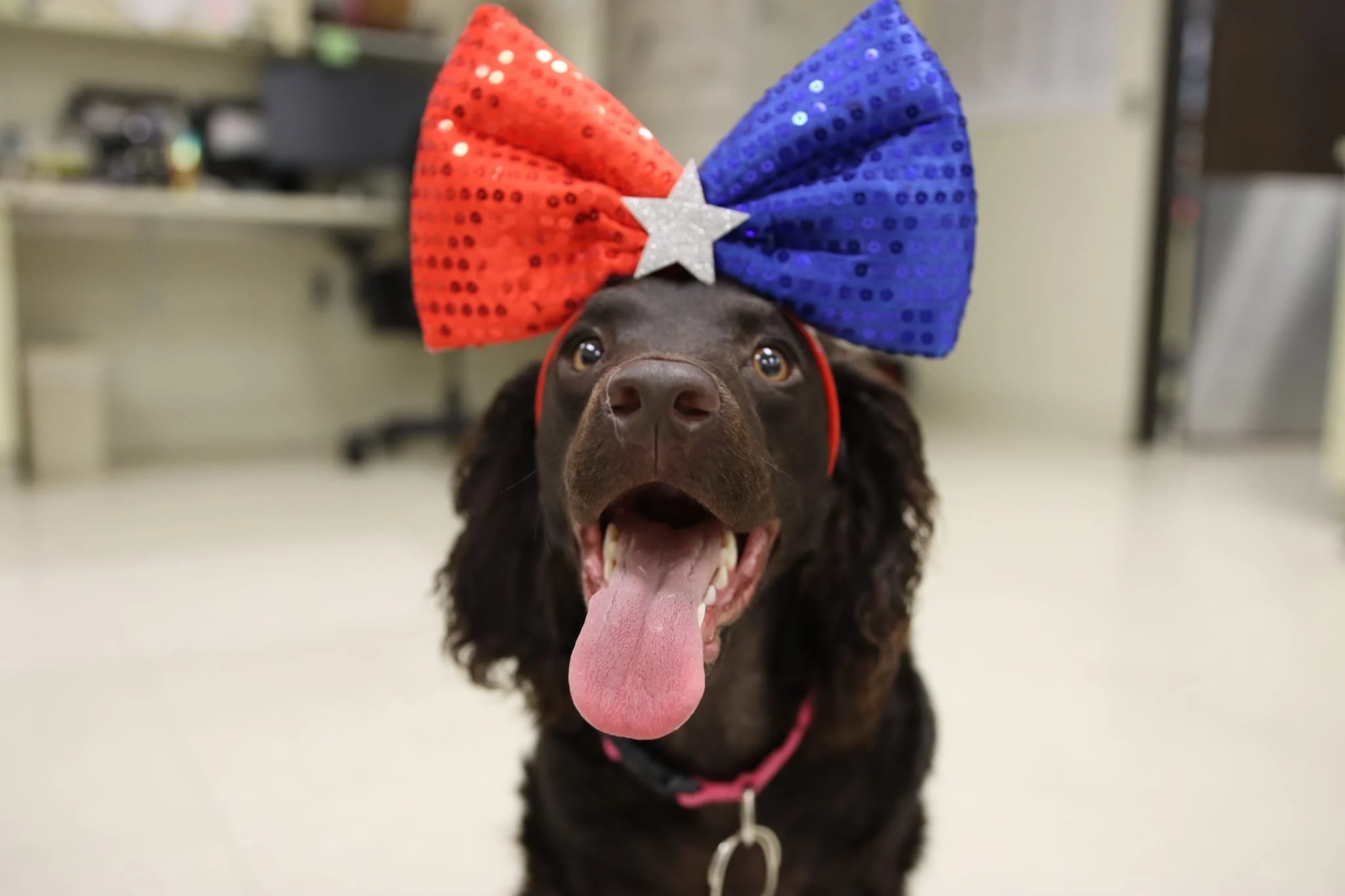 Happy 4th