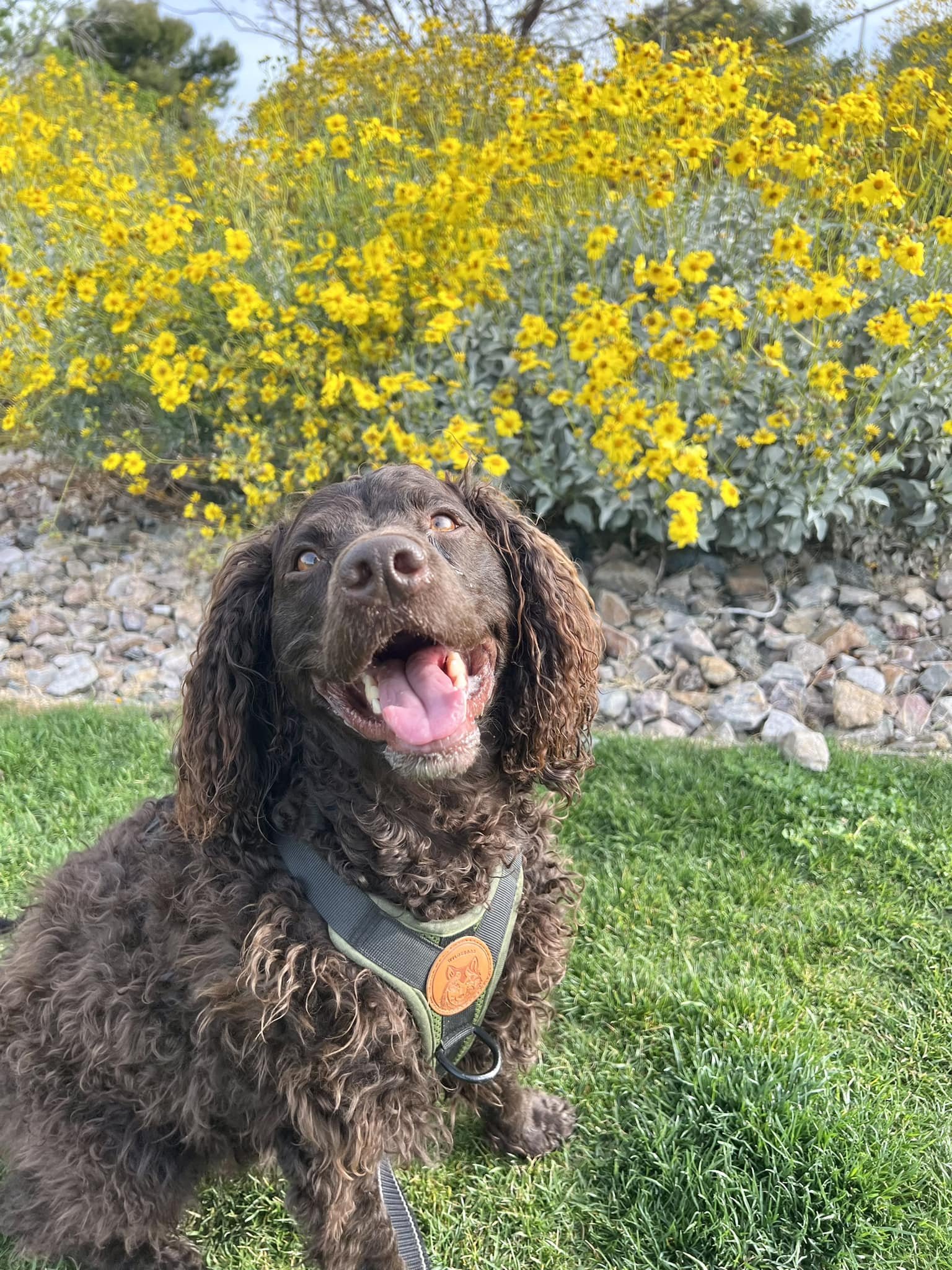 Spring is coming@ 
