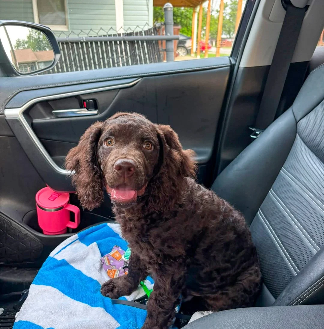 Are we there yet? 