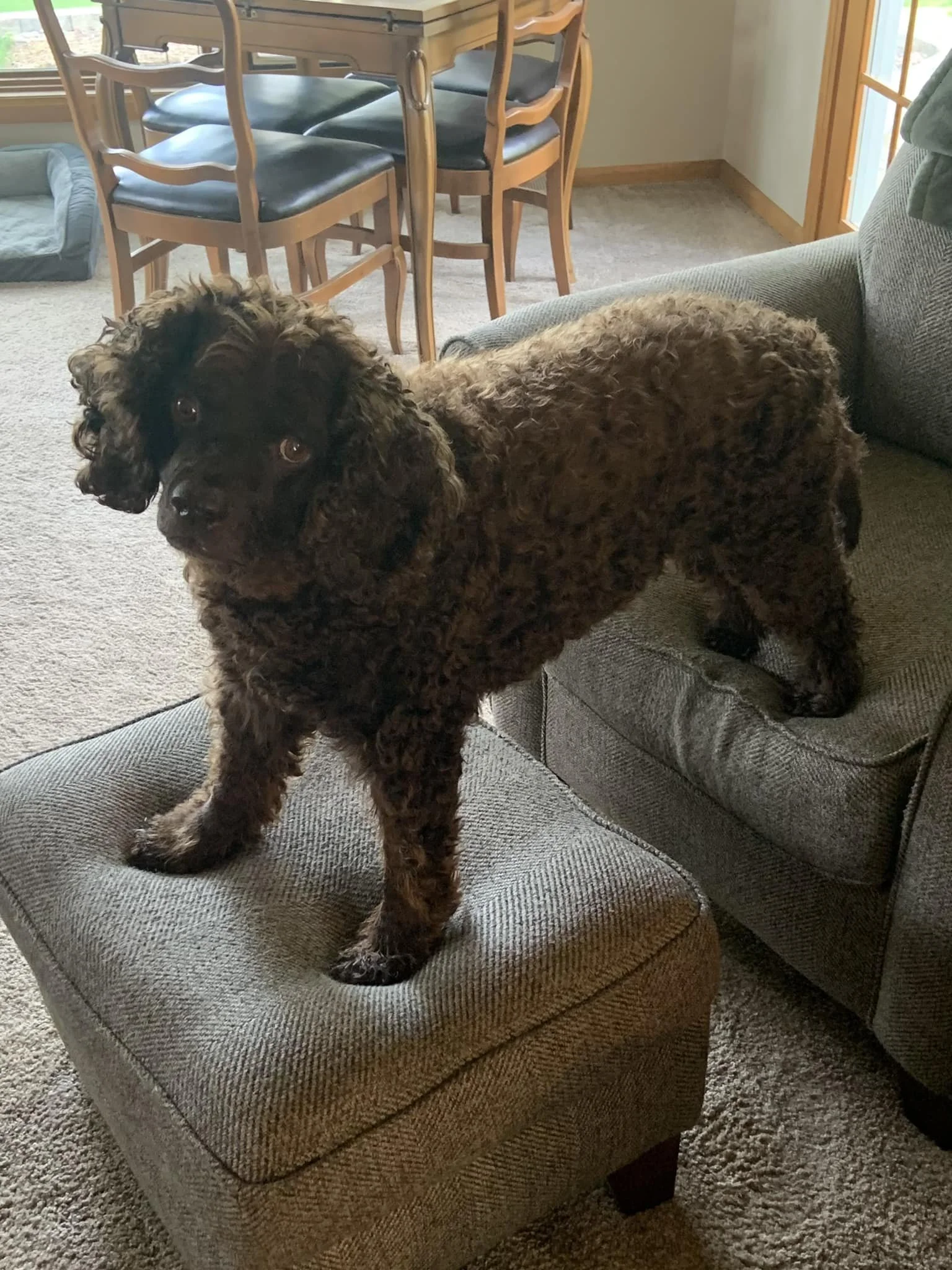 You are not sitting down 