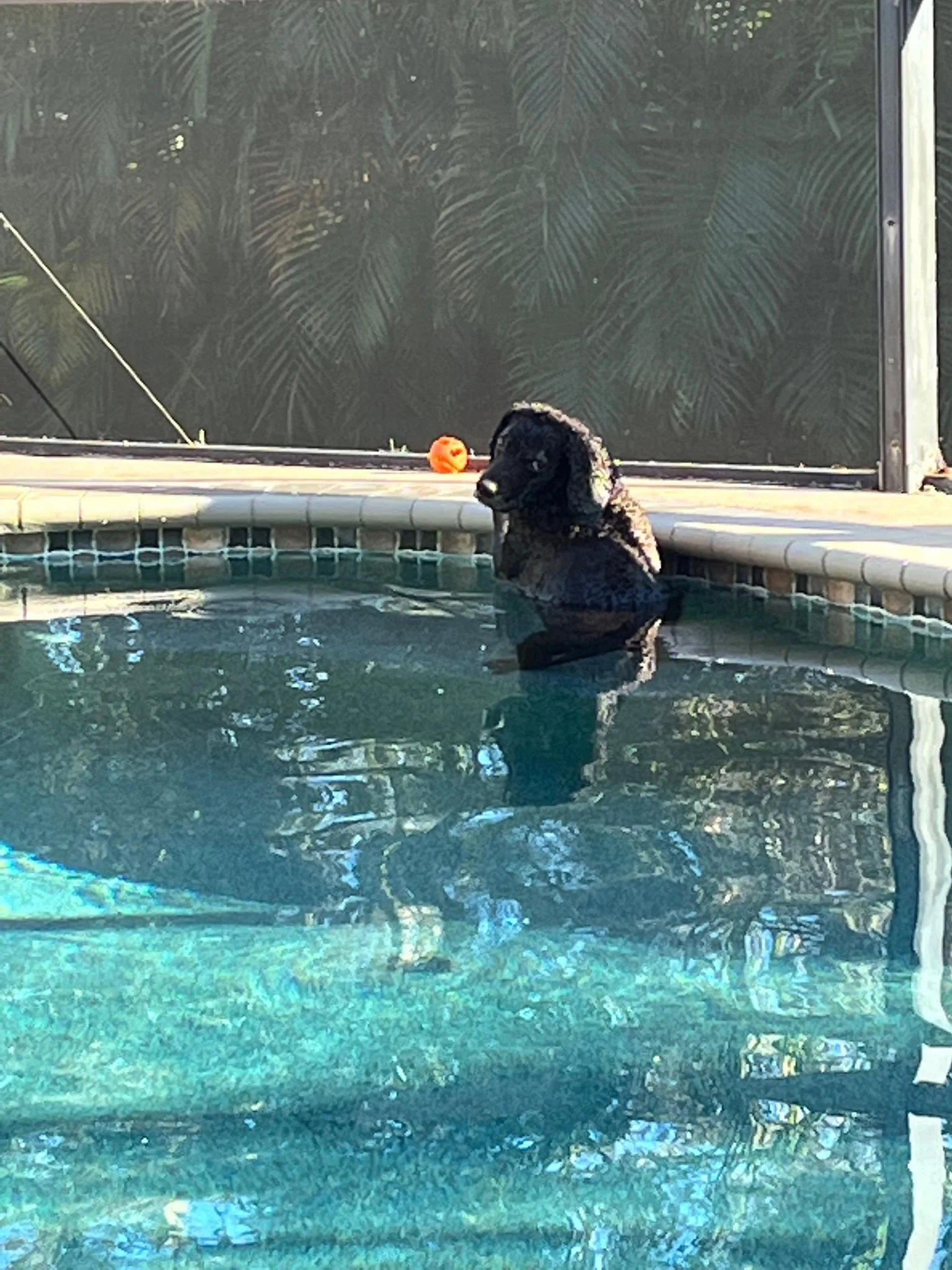 But I don't wana to swim 