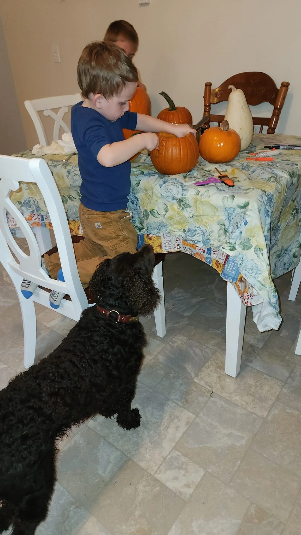 Are we making Pie? 