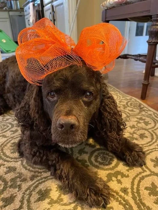 You call this a costume? 