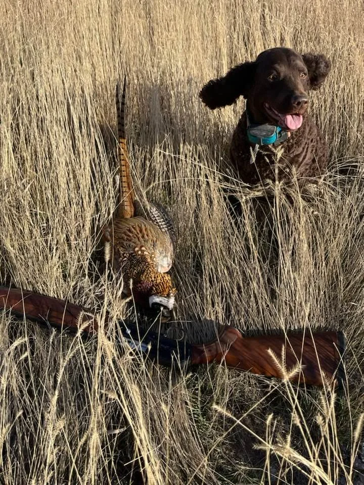 One happy dog!
