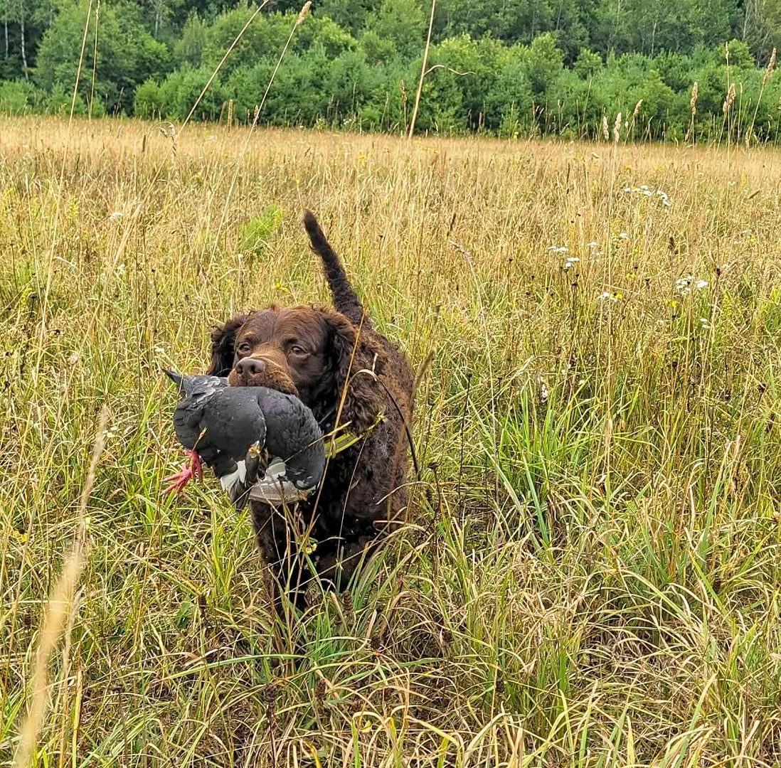 Fun day out in the field 