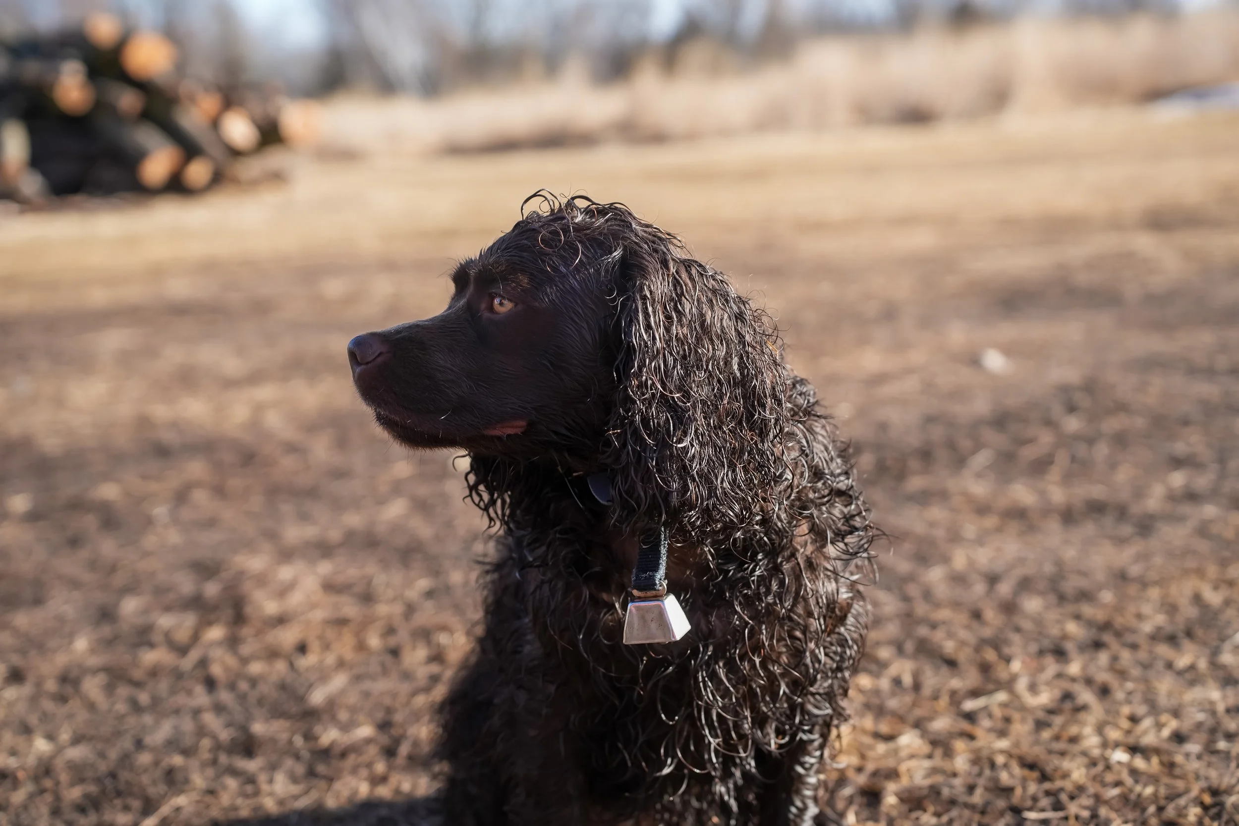 This is my better side - 