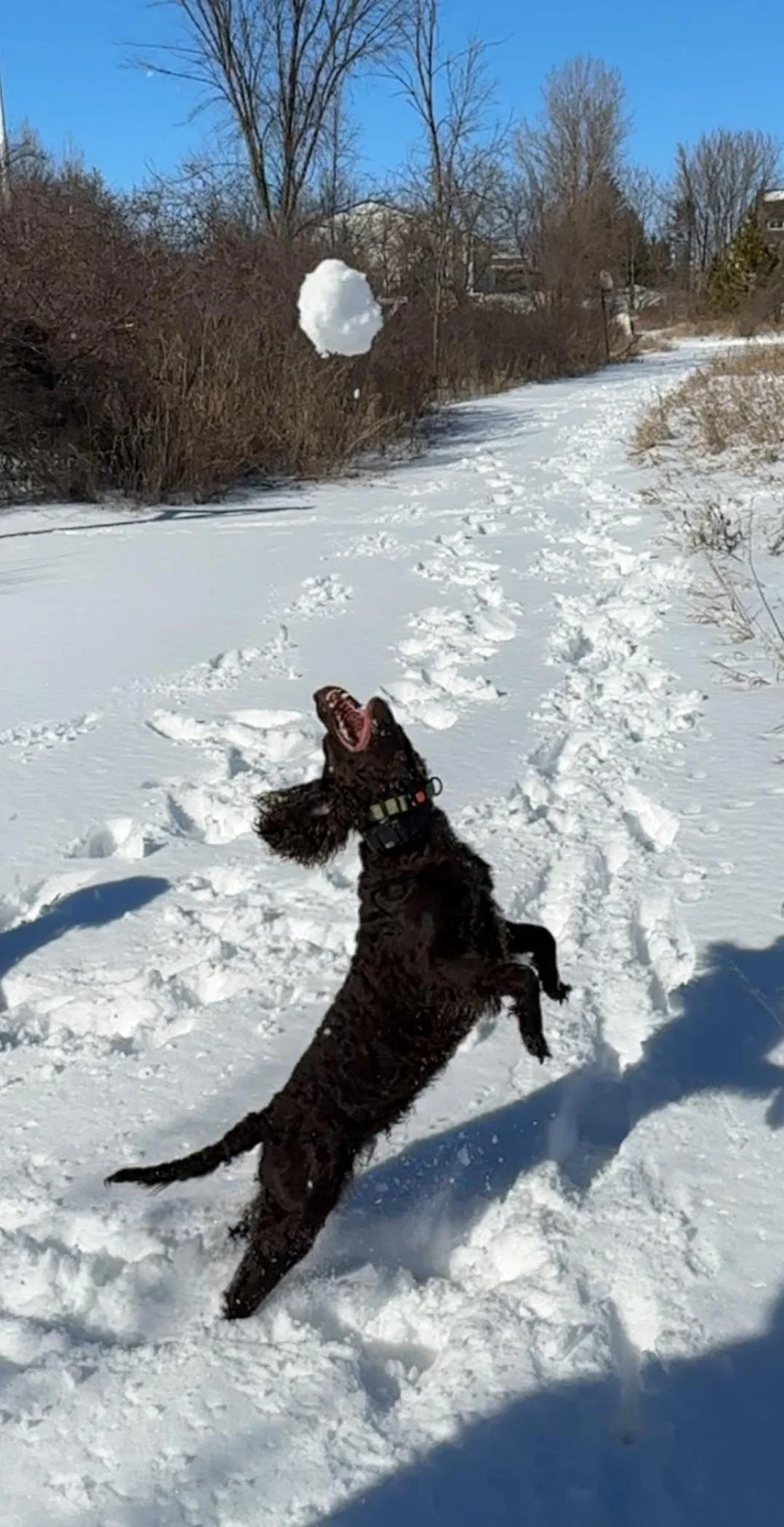 Gotta catch that! 