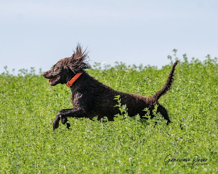 Flying 