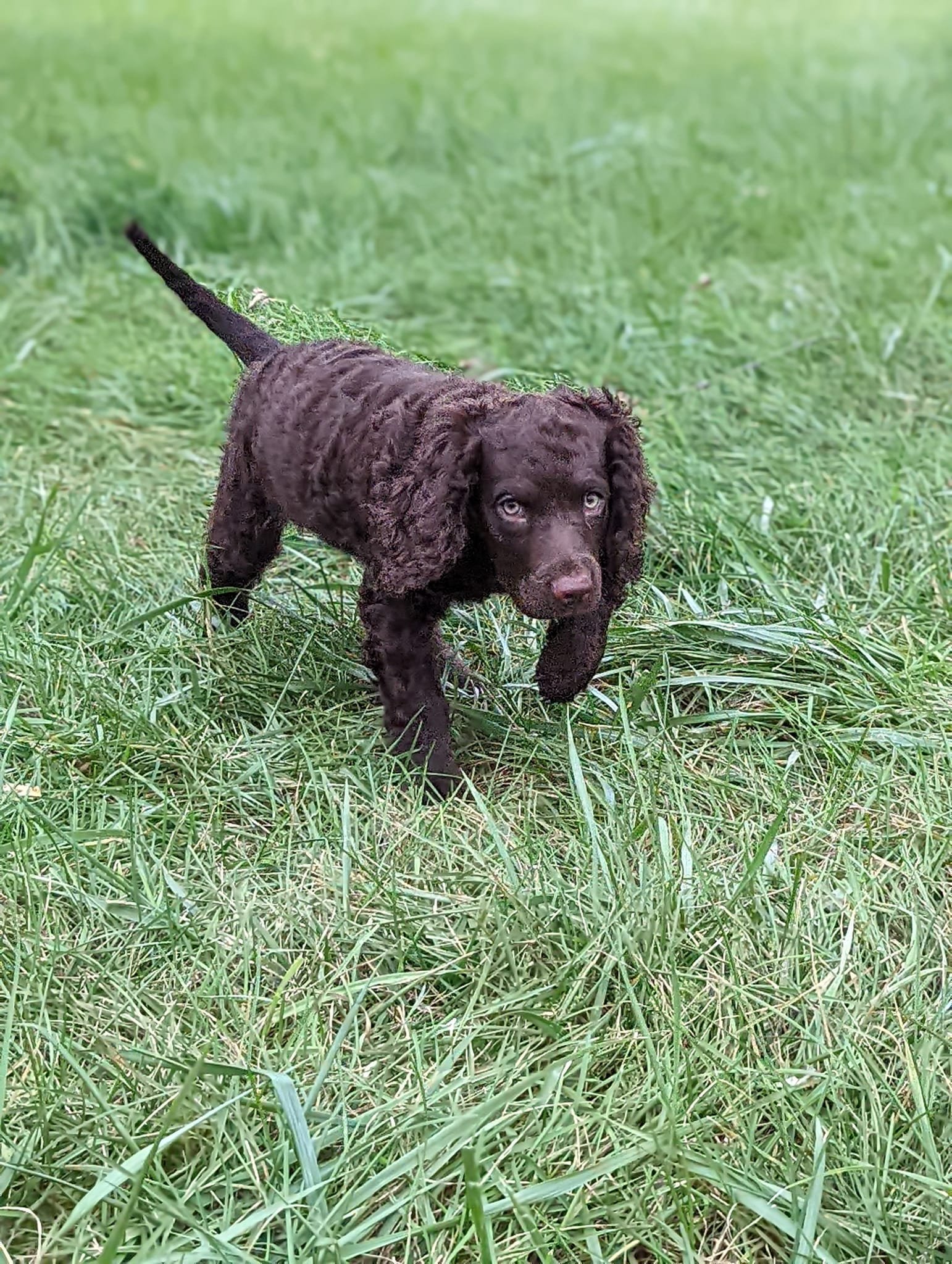 Dangerous hunter on the prowl