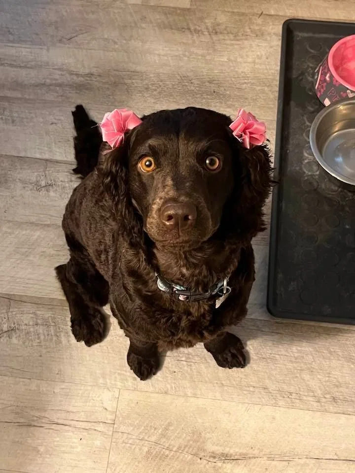 Looking pretty
