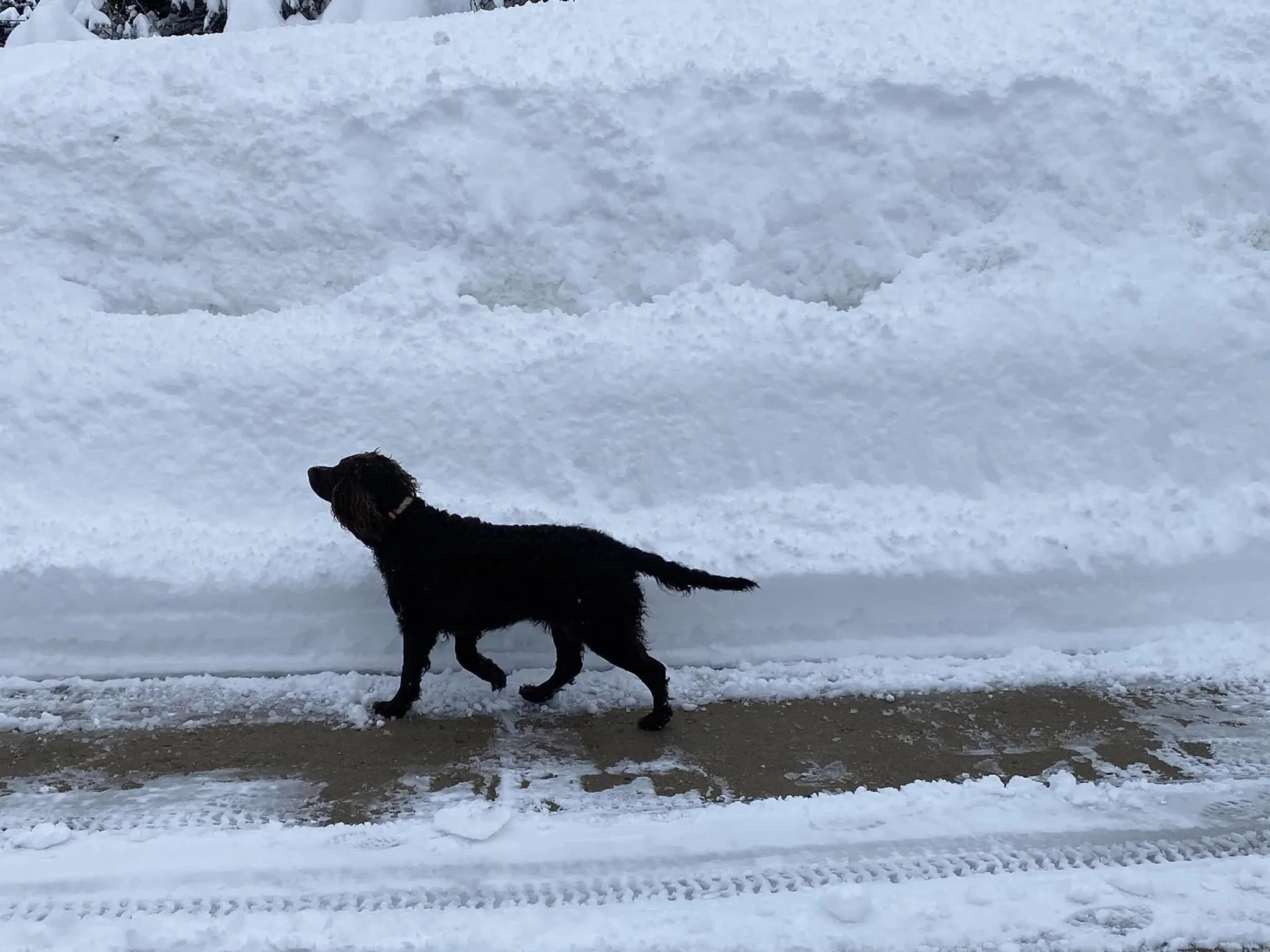 Where did this hill come from? 