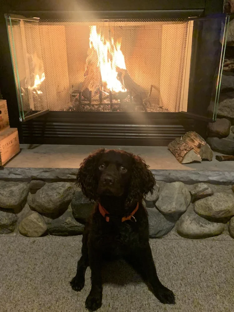 Hey guys, come sit by the fire