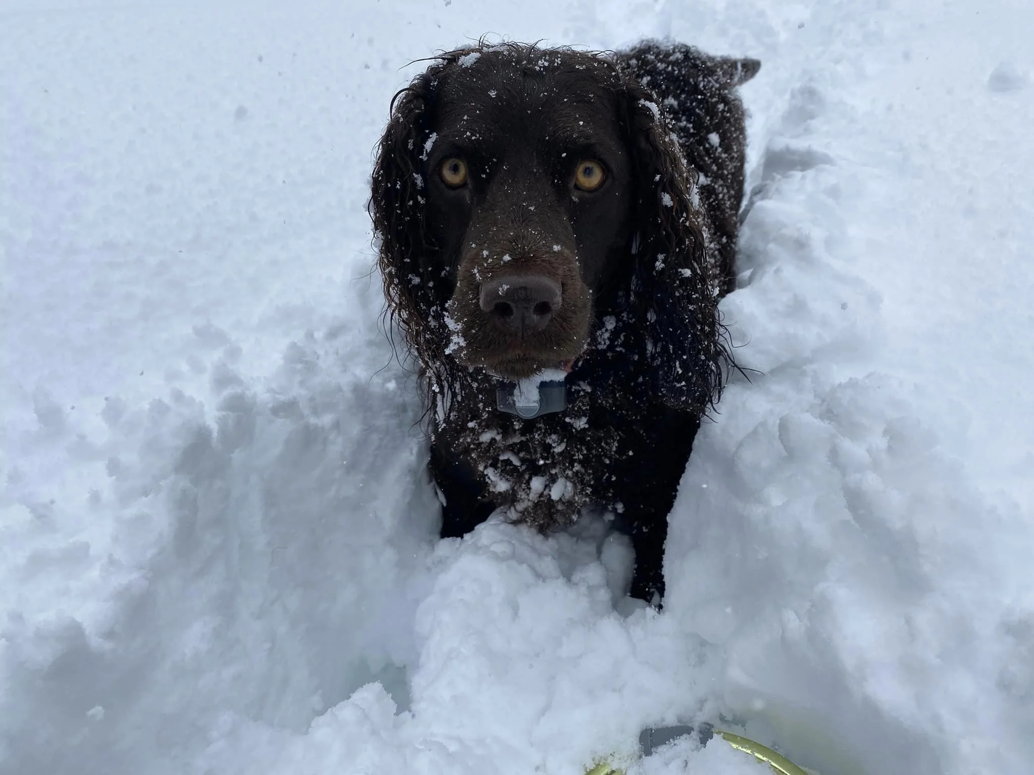 Umm- yes it's cold out here