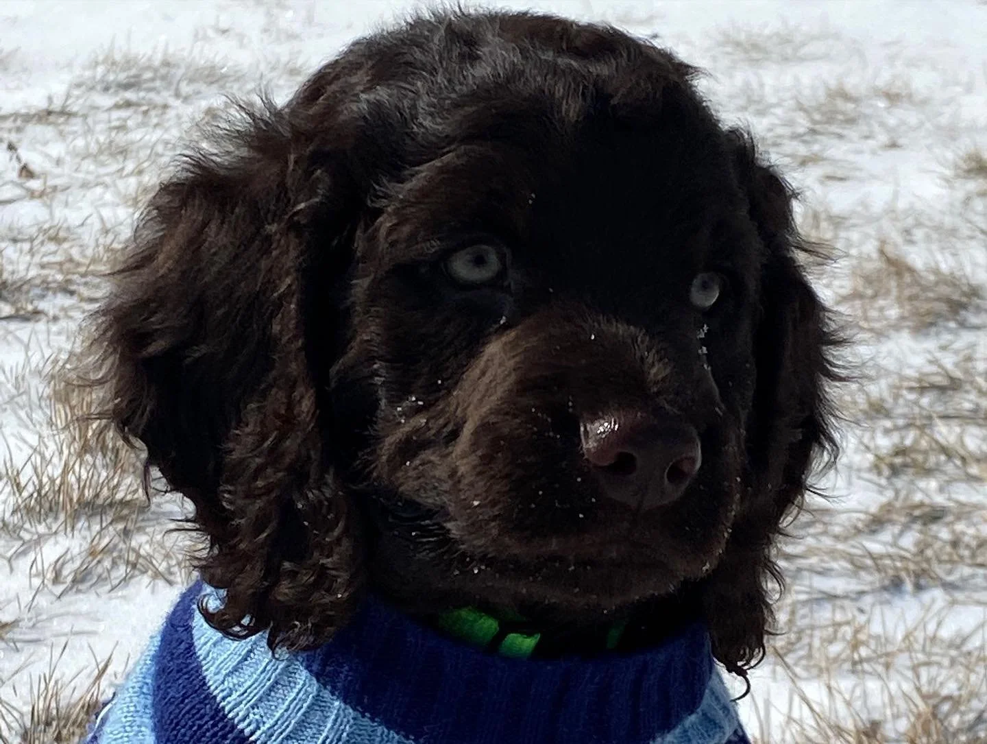 So adorable - - - 