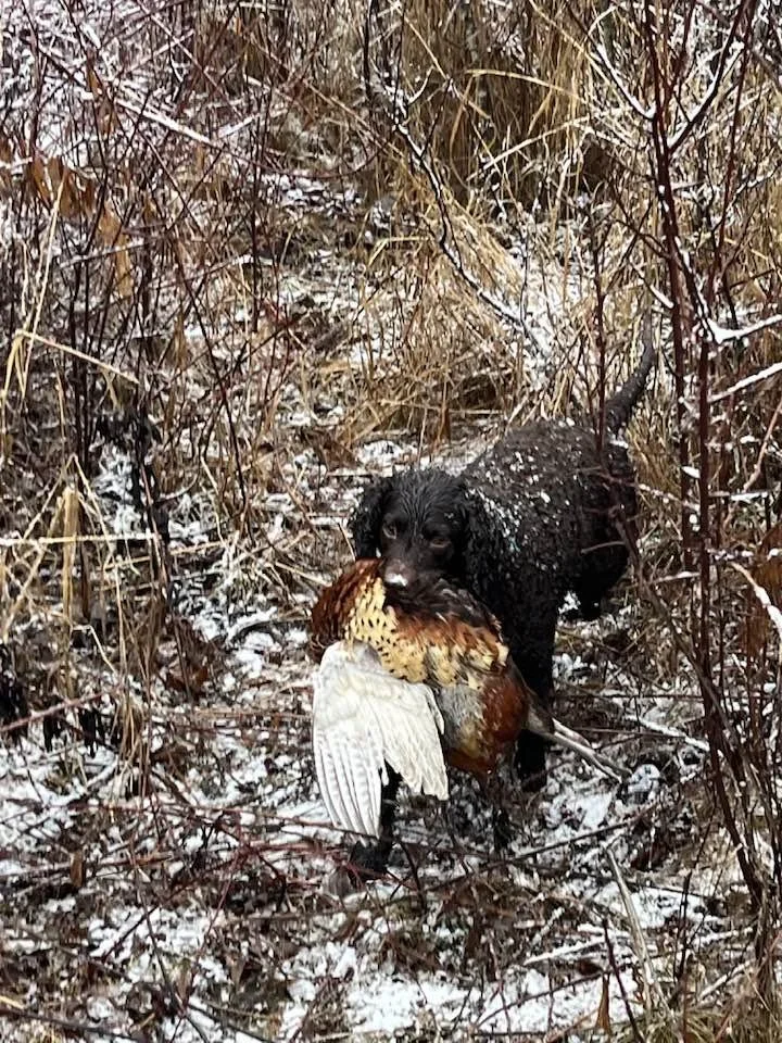 Best time of the Year 