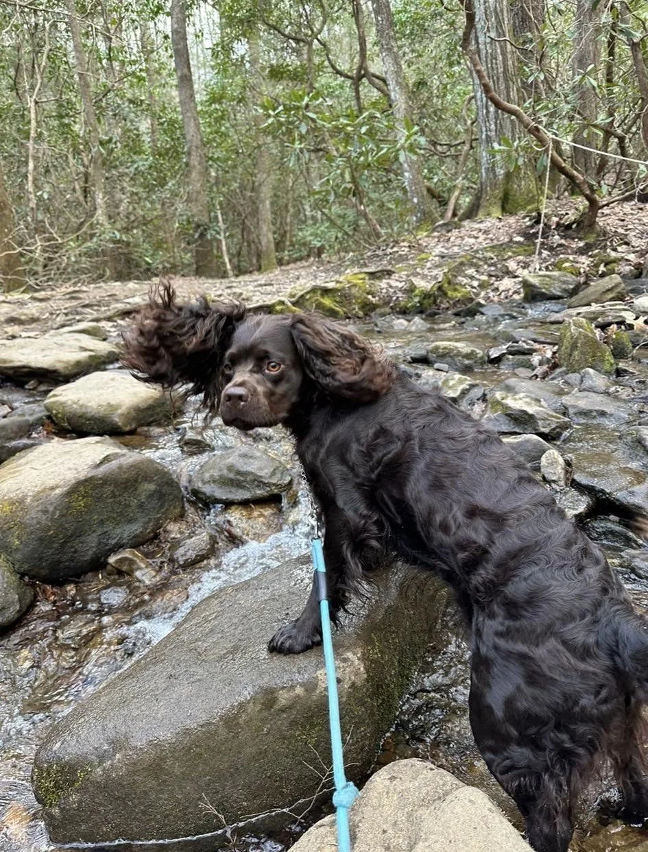 Vouge - just strike a pose