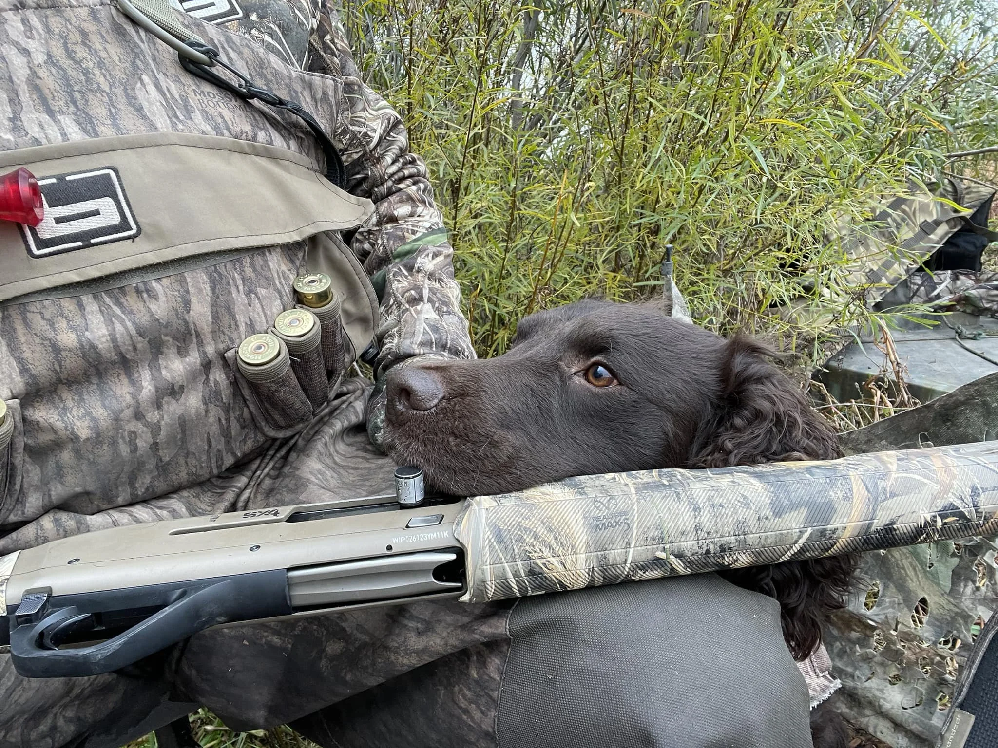 The perfect trio - buttlets, dog, gun 
