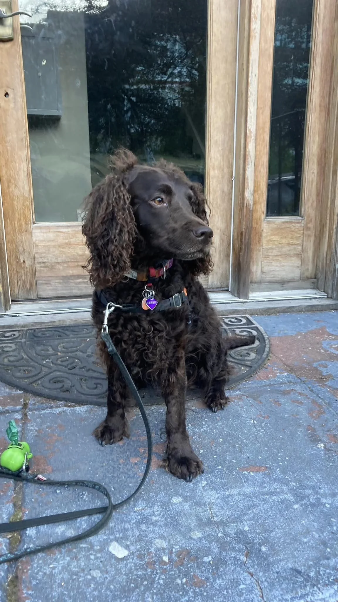 Hope we're walking to the park - - - 