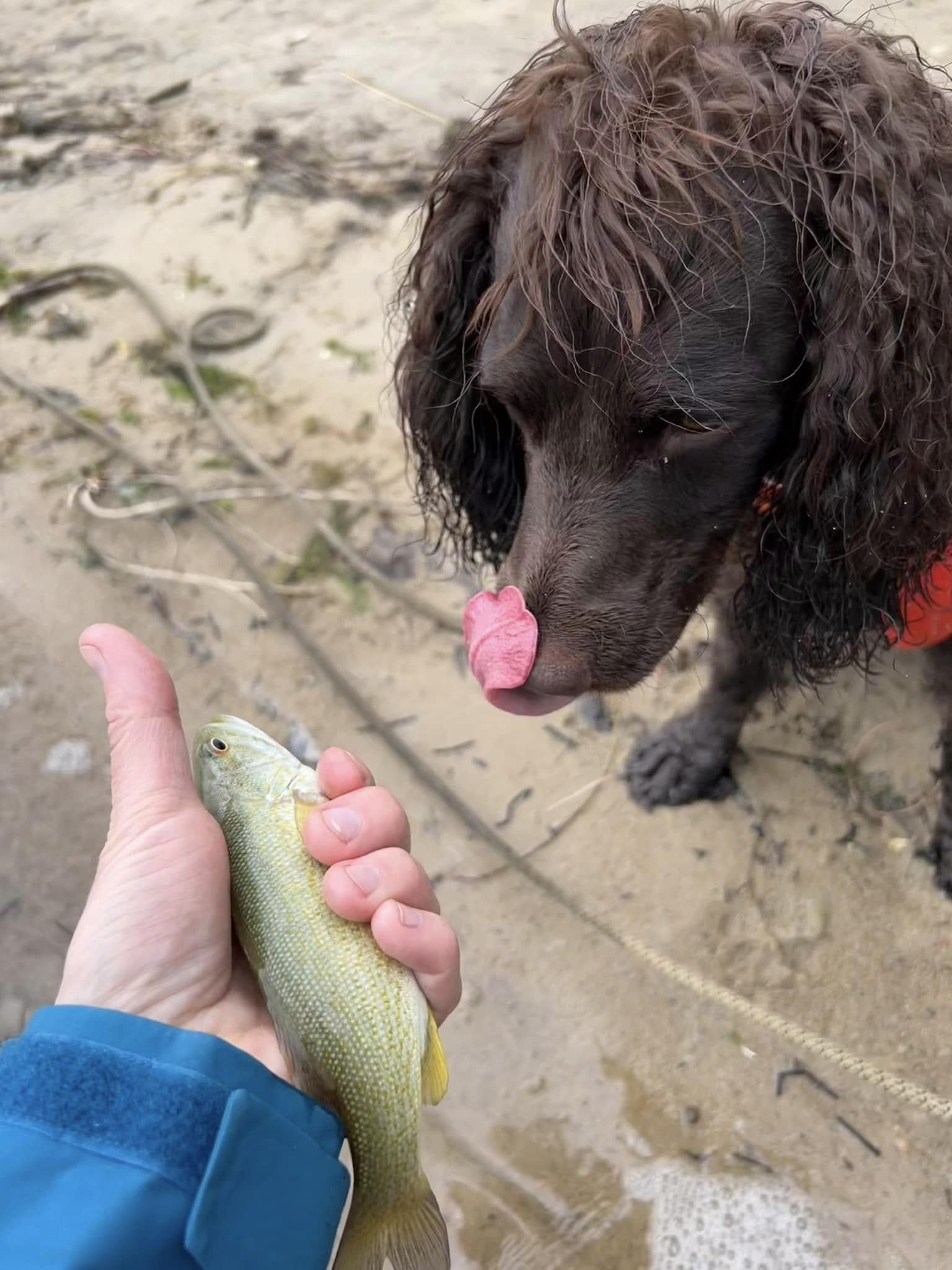 For me?  Thanks!