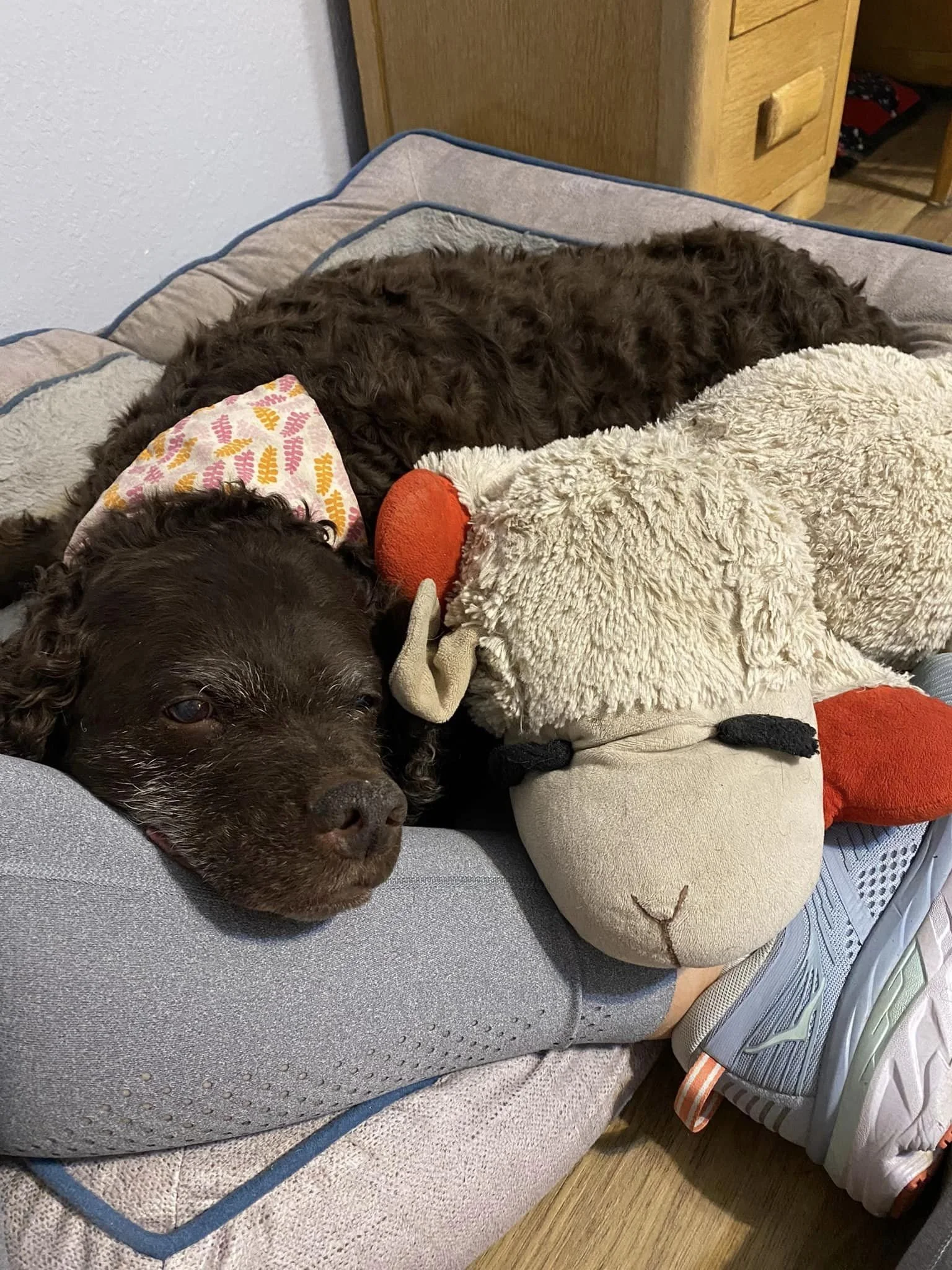 My buddy 