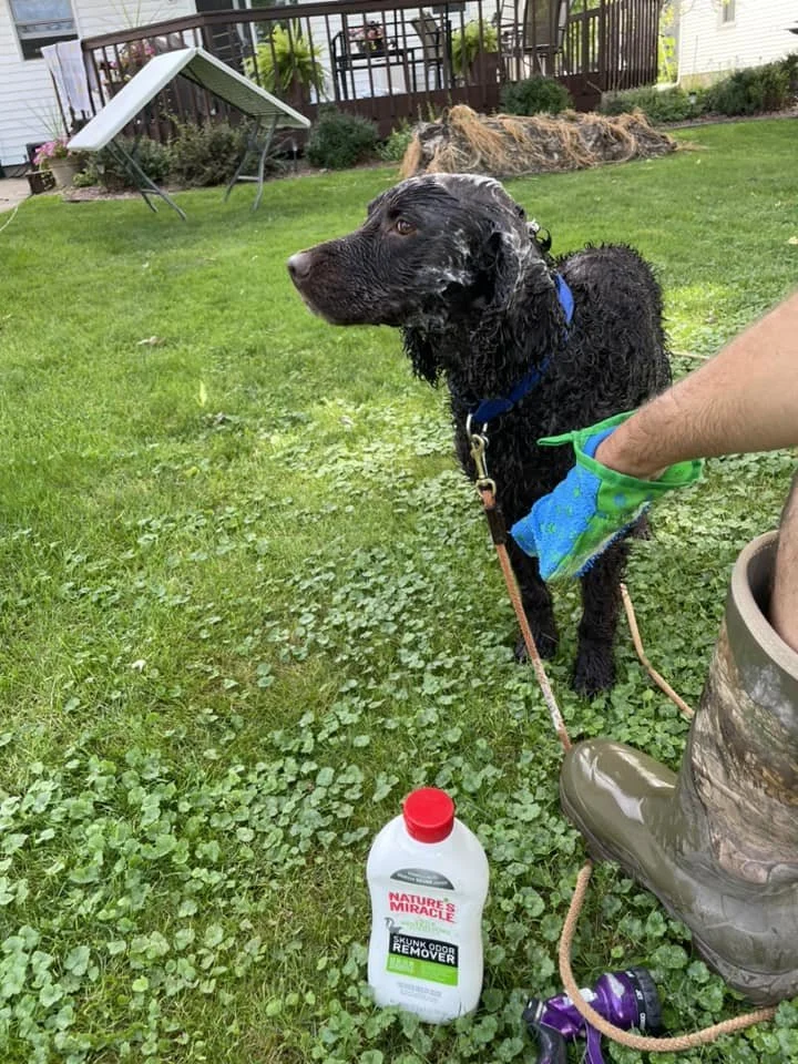 De-Skunk me please
