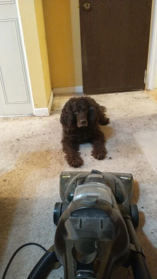 You want to play "chicken?" Bring it on - - I don't lose 