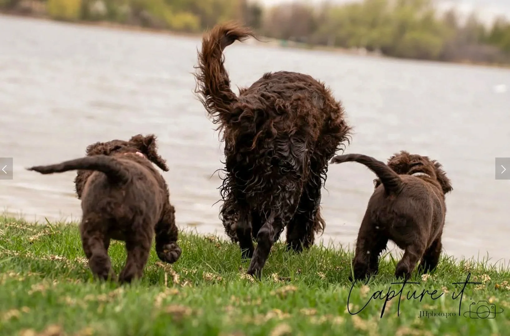 Watch out world - here comes "The Power of Three"