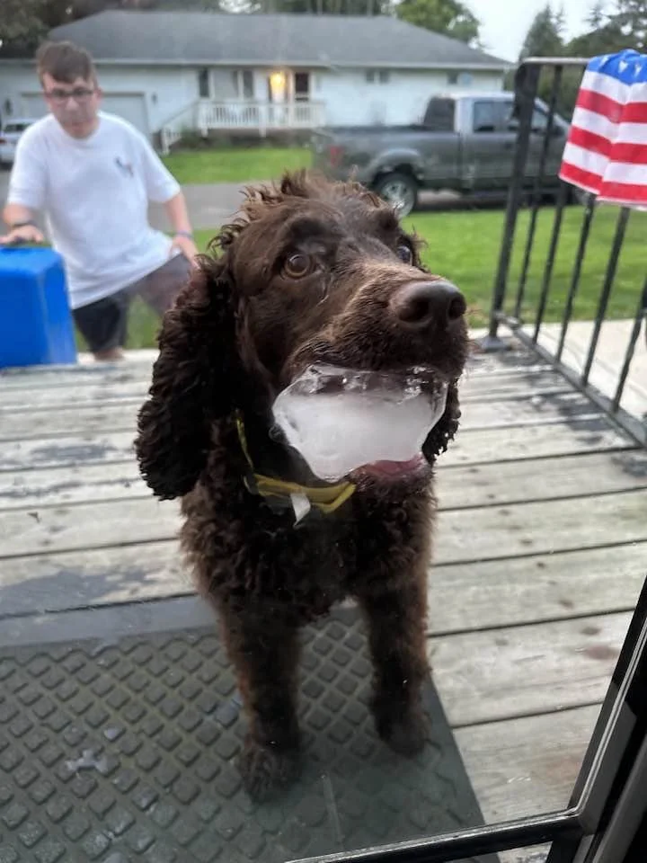 Ice is nice - but I am a "Water" dog 