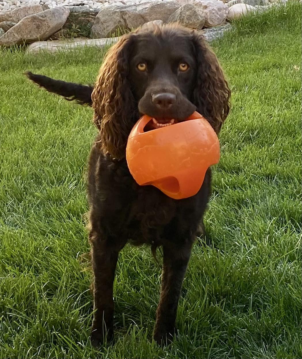 Grab your kettle ball and lets go