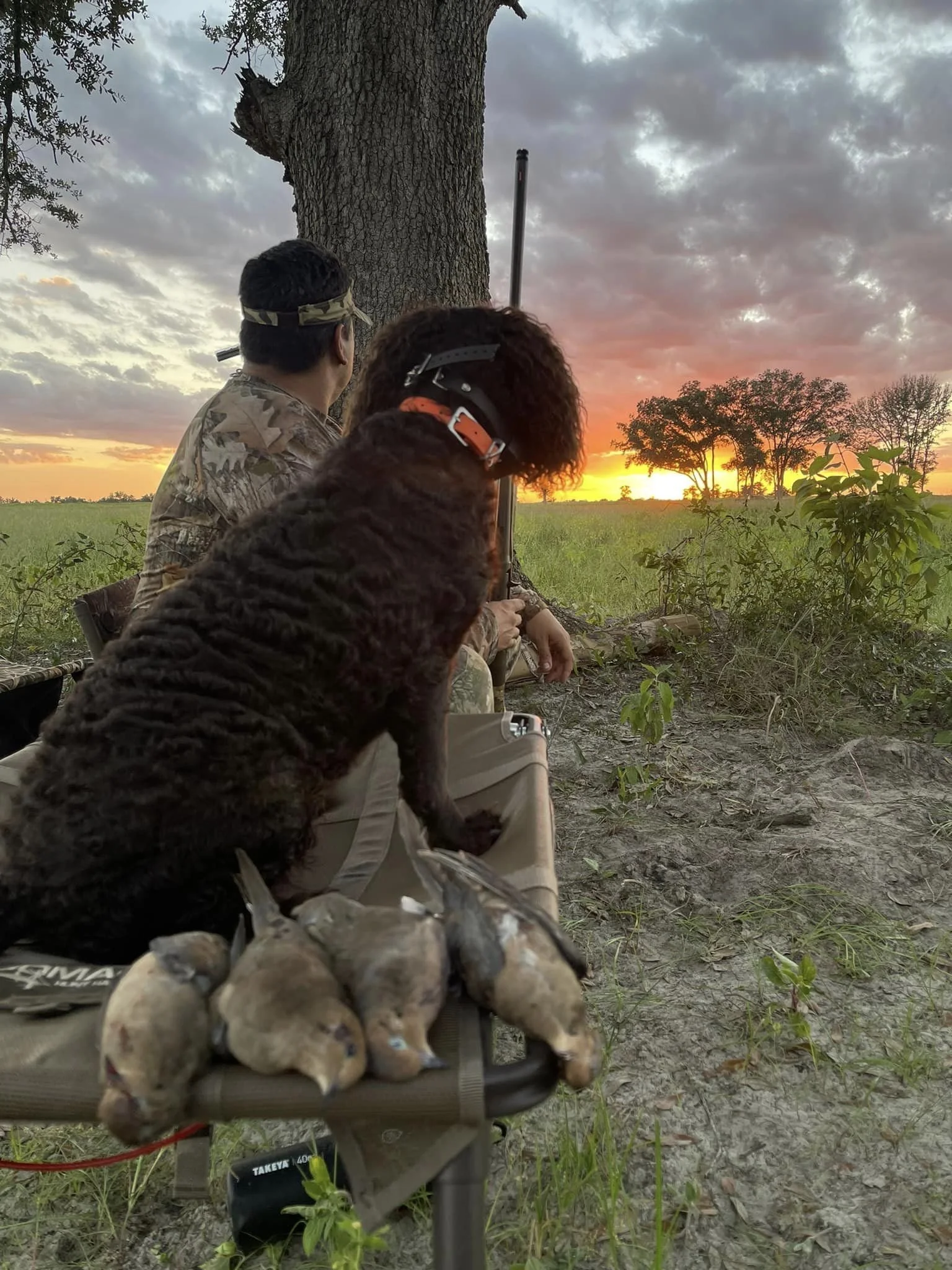Great morning so far - 