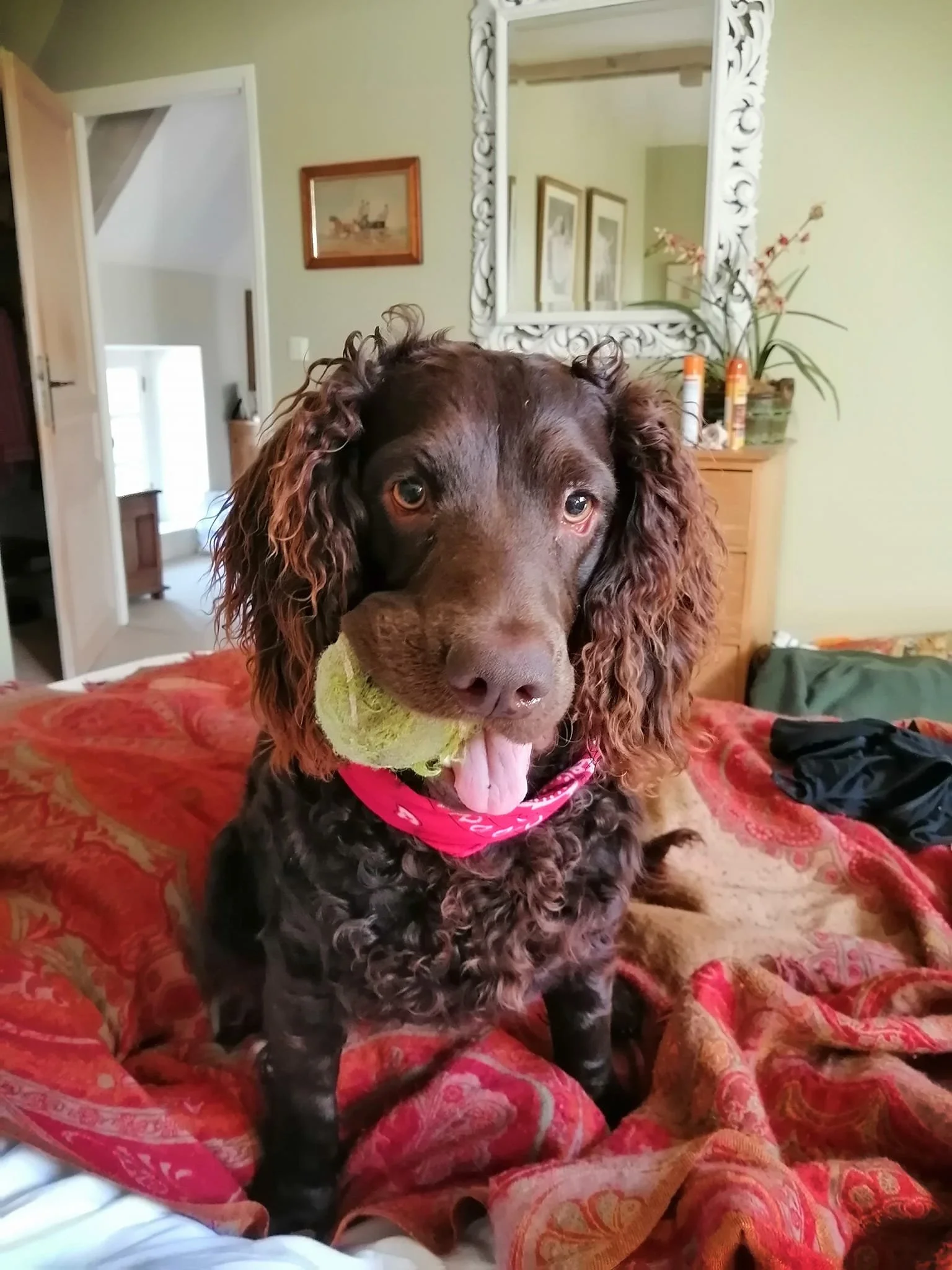 Play time 