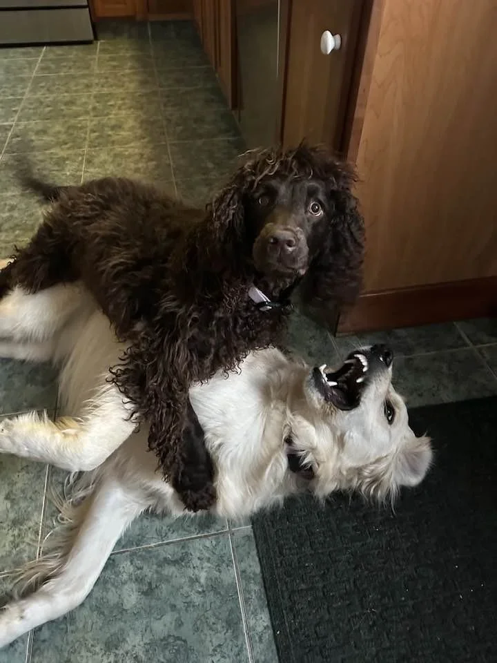 Ah - Could ya give us a little privacy here? 