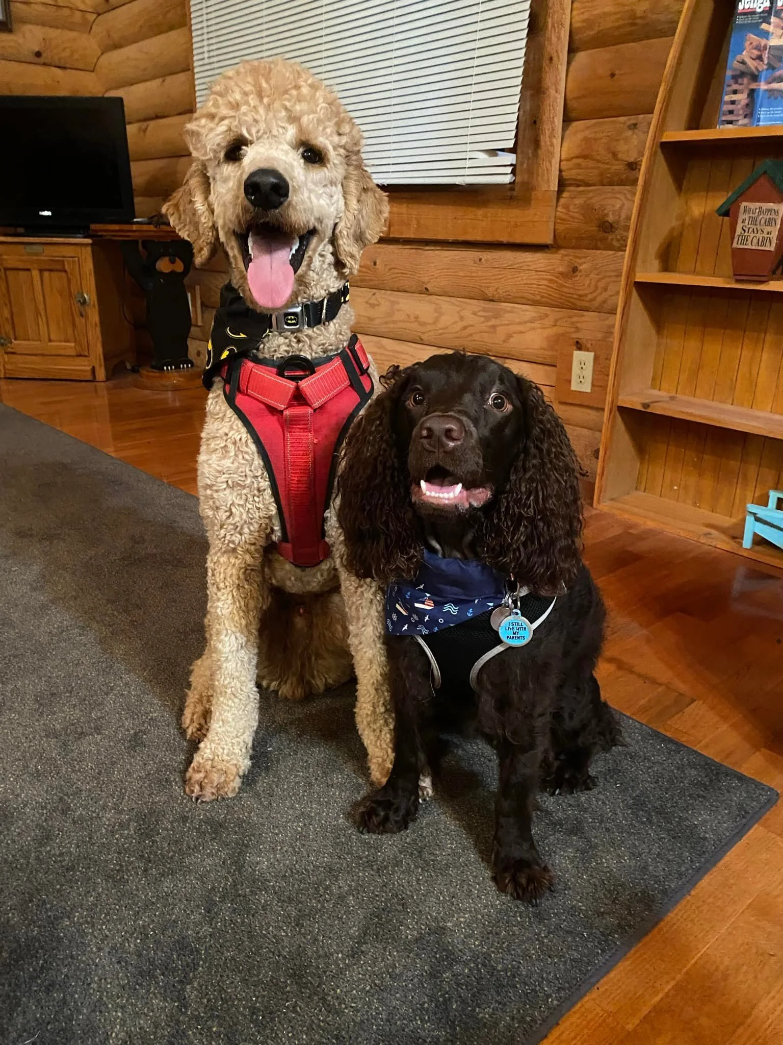 Friends come in all sizes
