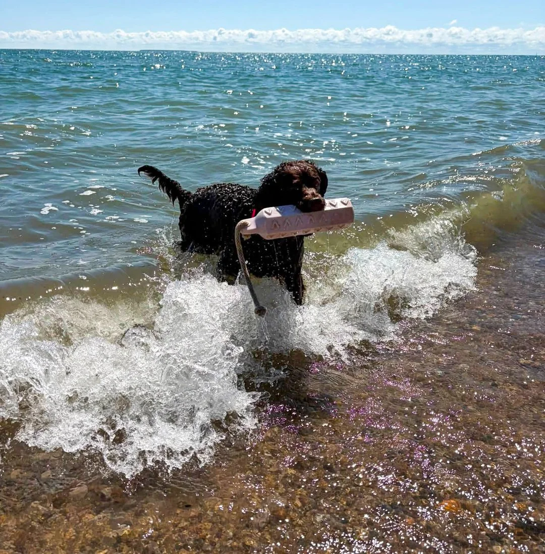 Surfing and retrieving - better together 