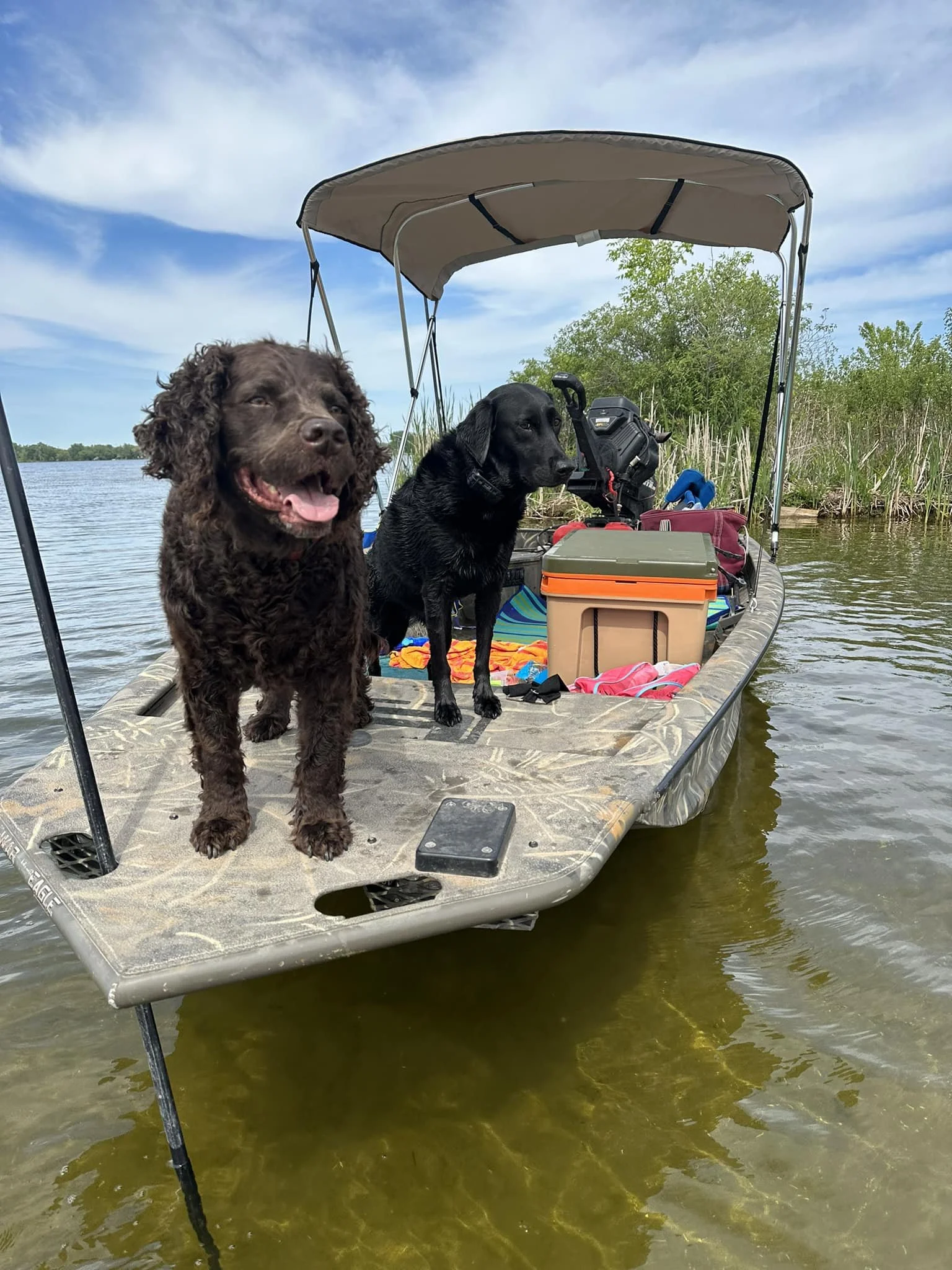 Perfect size for this boat 