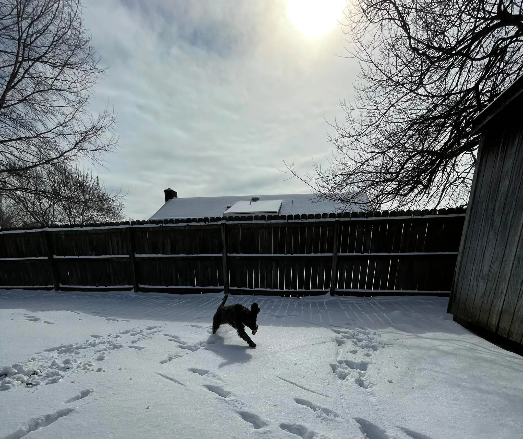 Snowbound and Loving it!
