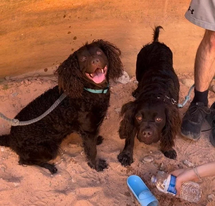 Yea ! we found shade at the alley of Fire - - - 