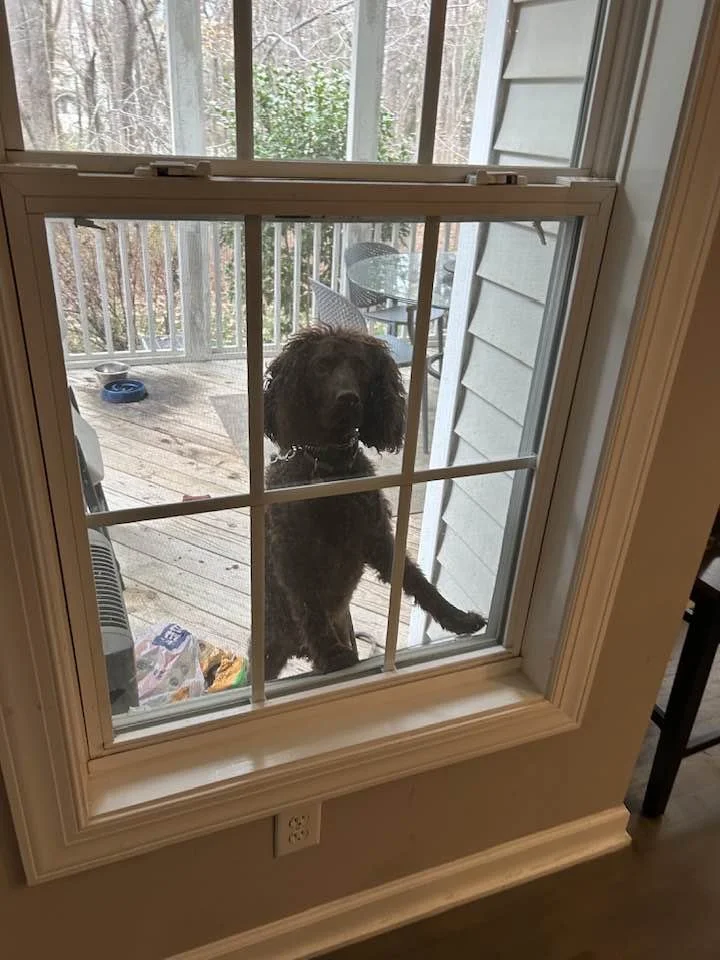 Can I come in now? 