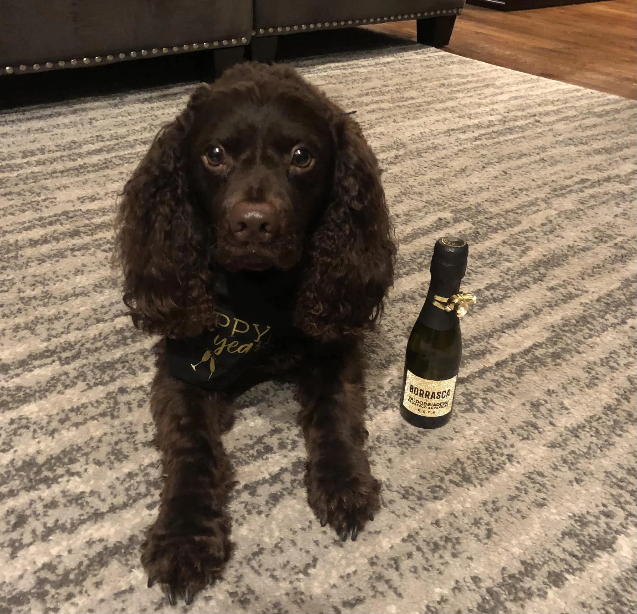 Are we ready for the Bubbly? 