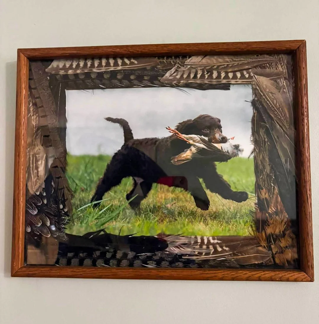 My pheasant feather'ed Frame!  