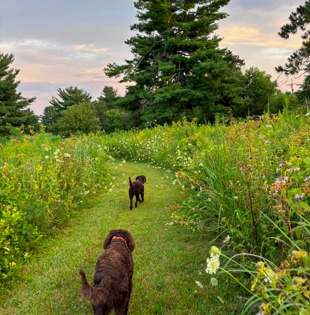 All trails are heavenly